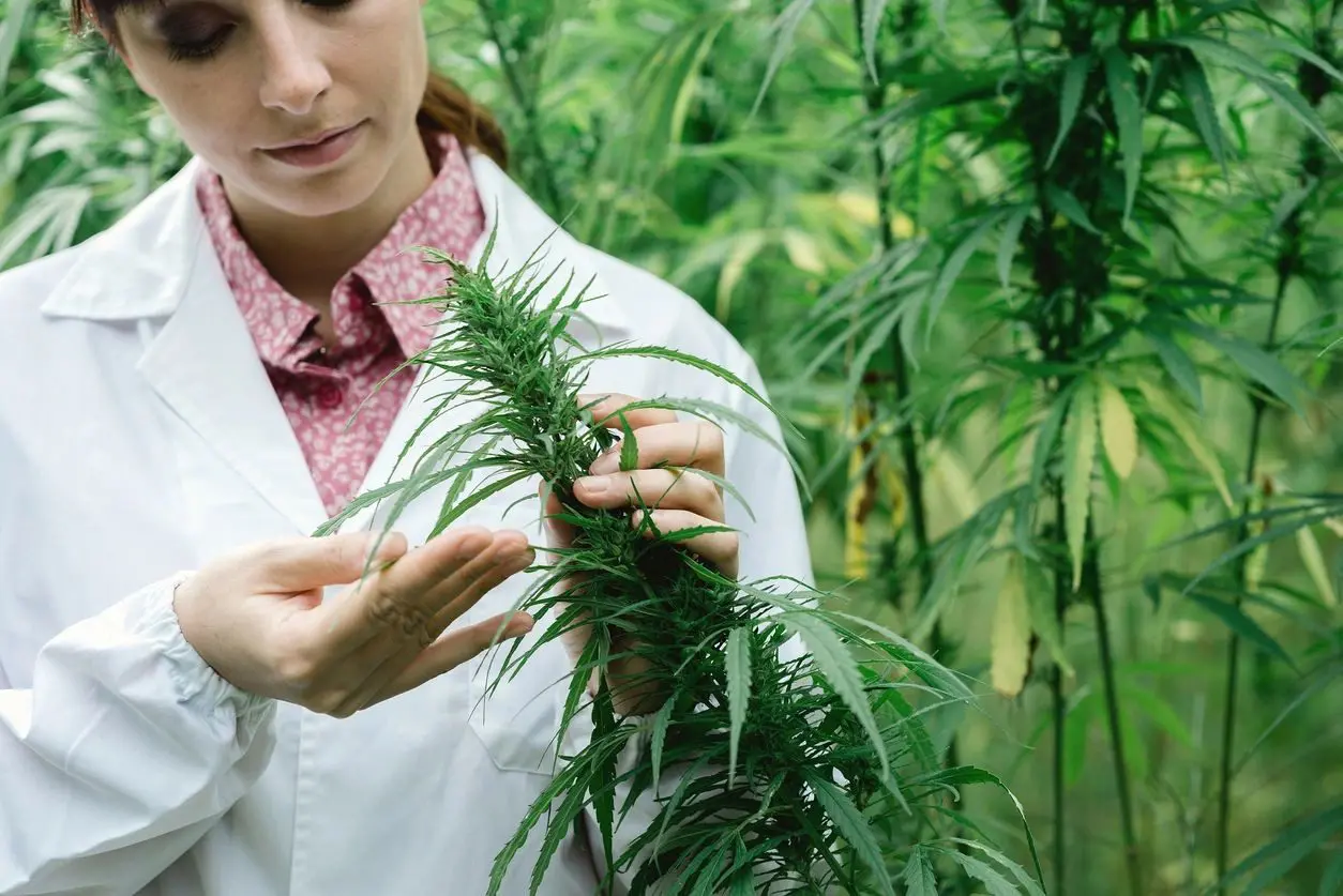 A woman in white lab coat holding up a plant.